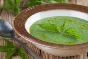 Nettle soup